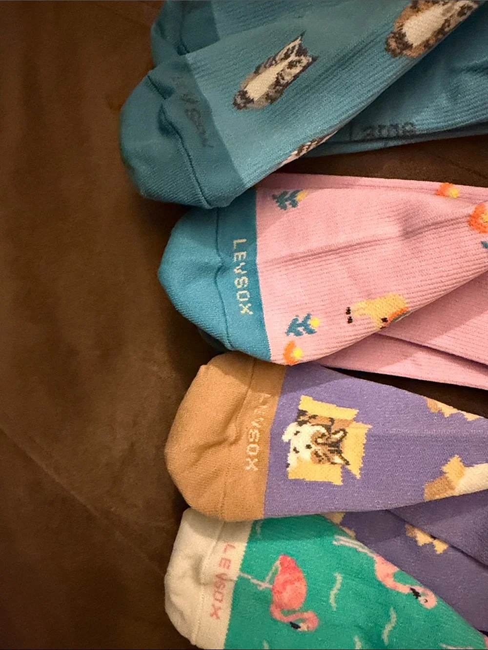 Women’s Fun Patterned Knee-High Socks - Blue, Pink, Purple, Teal